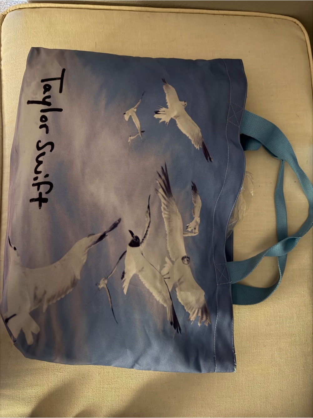 Taylor Swift Blue Seagull Canvas Tote with Sky Print